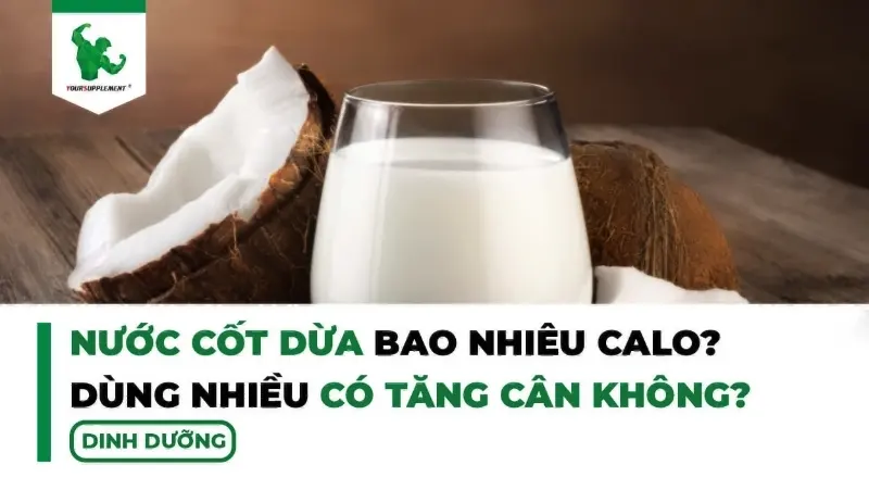 Nước cốt dừa cung cấp nhiều năng lượng và calo cho cơ thể