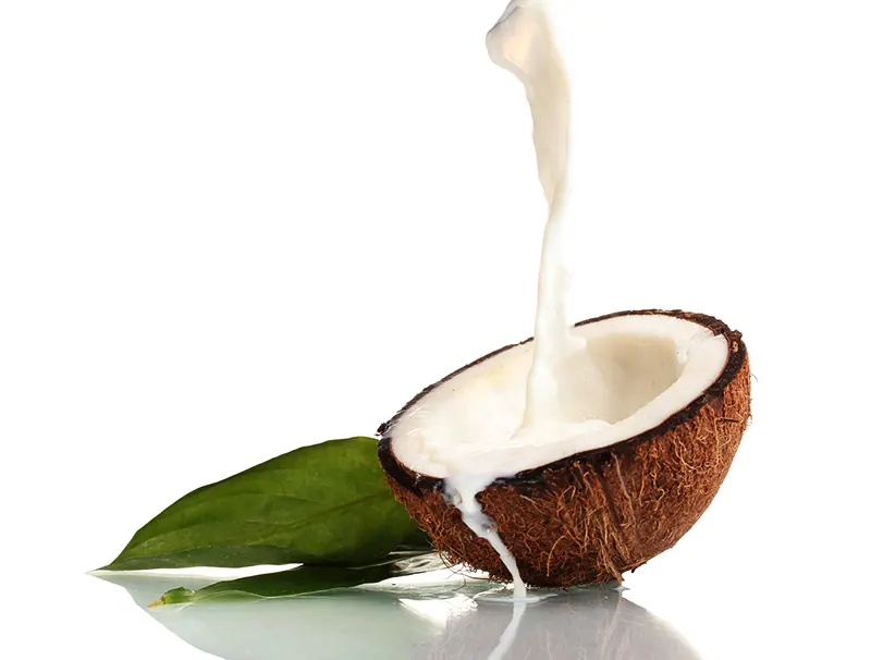 Nước cốt dừa nguyên chất