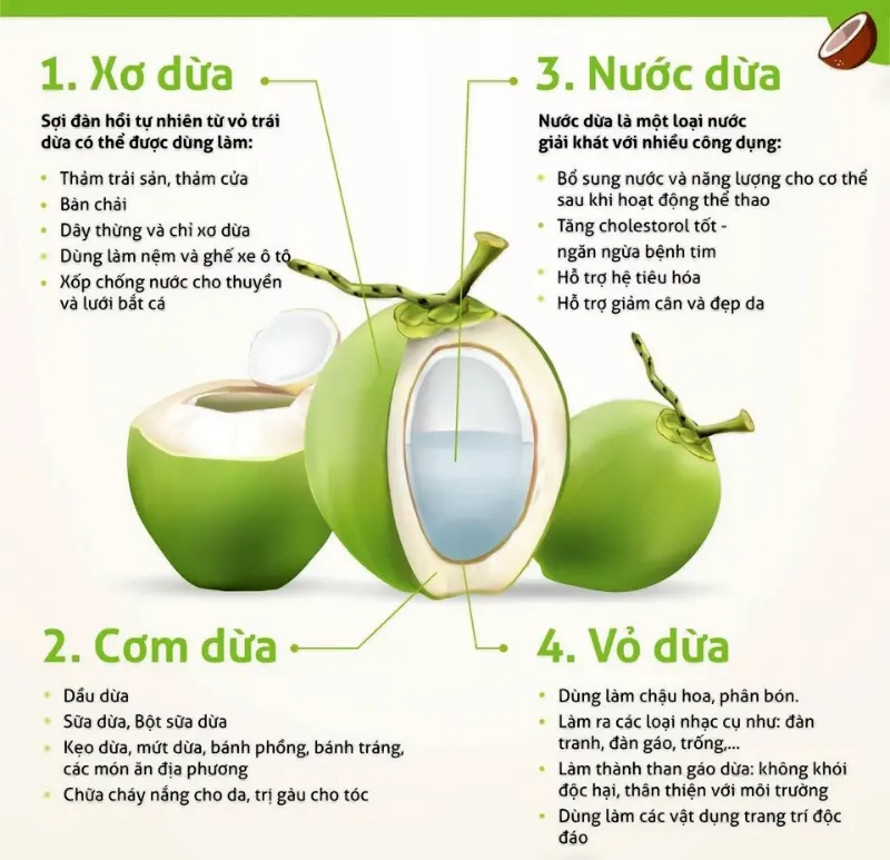 Nước cốt dừa bao nhiêu calo? Uống có gây béo không?