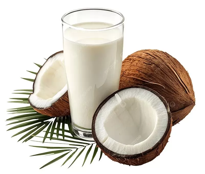 Nước cốt dừa nguyên chất sữa dừa